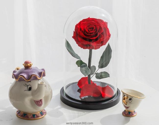Rose la belle et la bête - NottaBelle.com